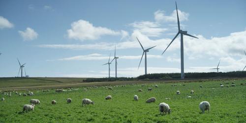 wind farm